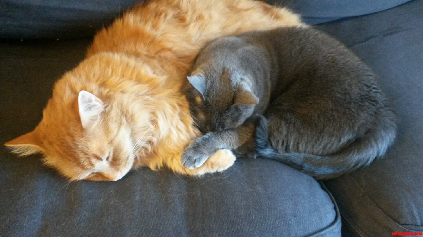Holding Hands