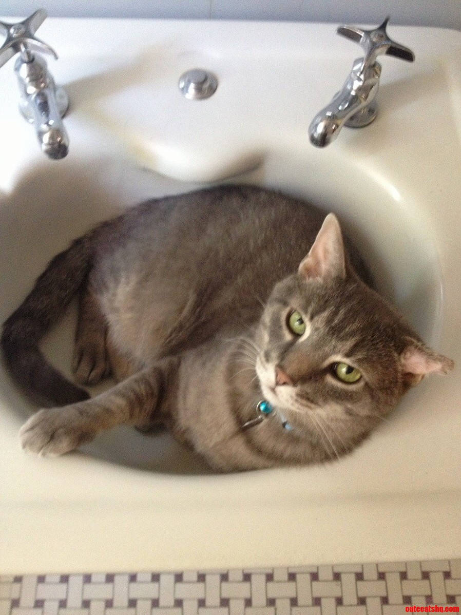 How Am I Supposed to Use My Sink Now