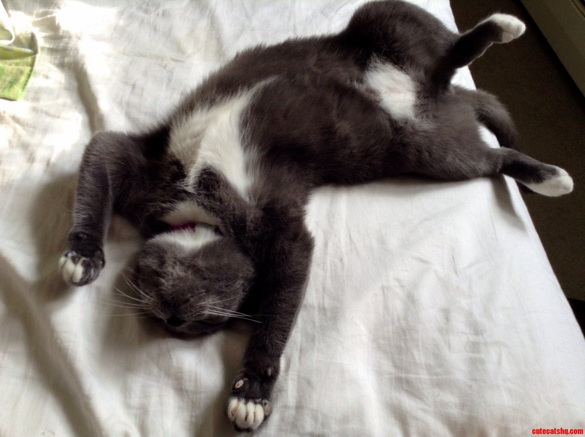 How He Sleeps