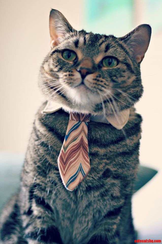 I Am Ready for the Business Today