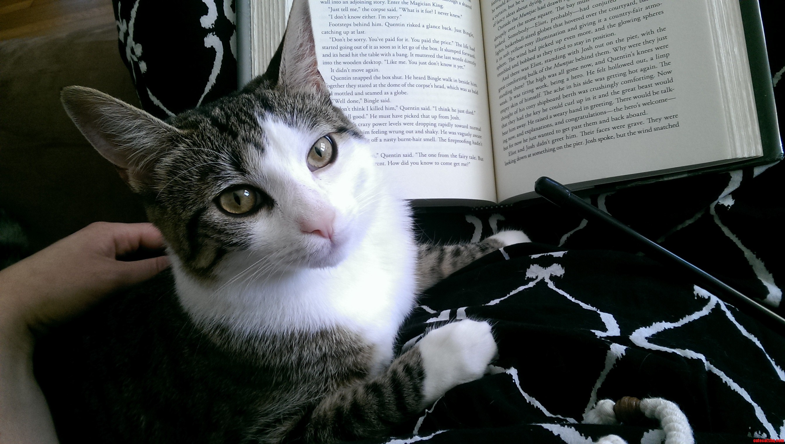 I Dont Always Read Books but When I Do I Lay on Mommys Lap.