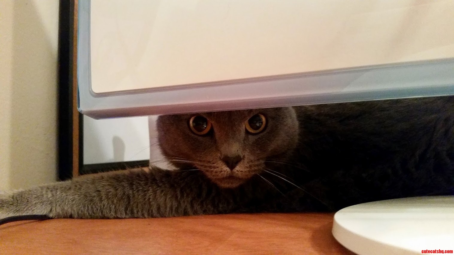 I Dont Think She Wants to Be Disturbed
