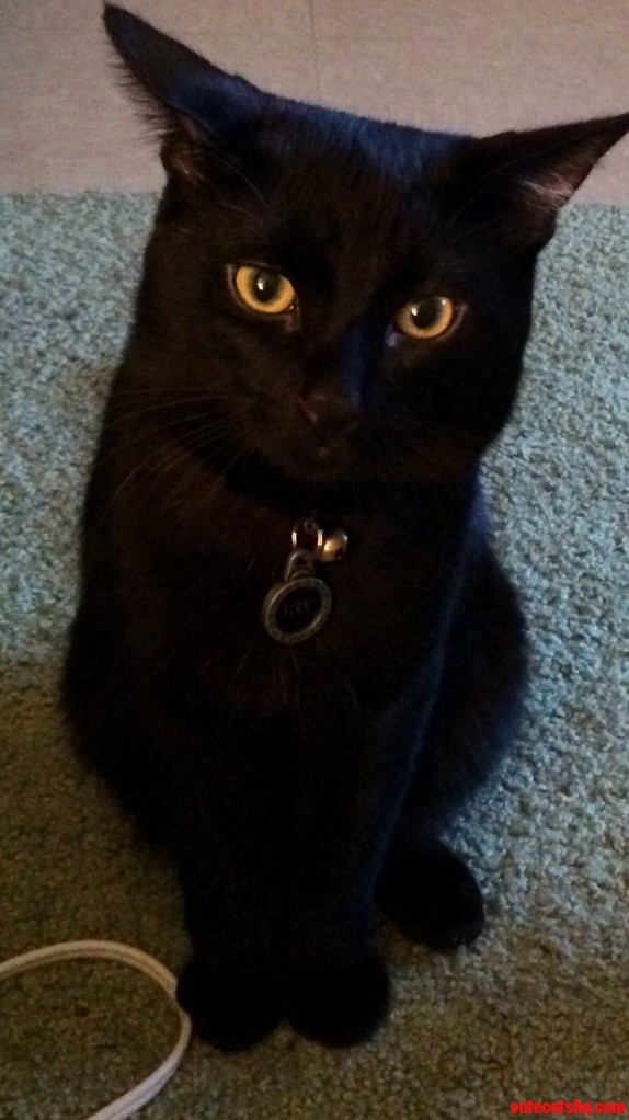 I Give You Jax