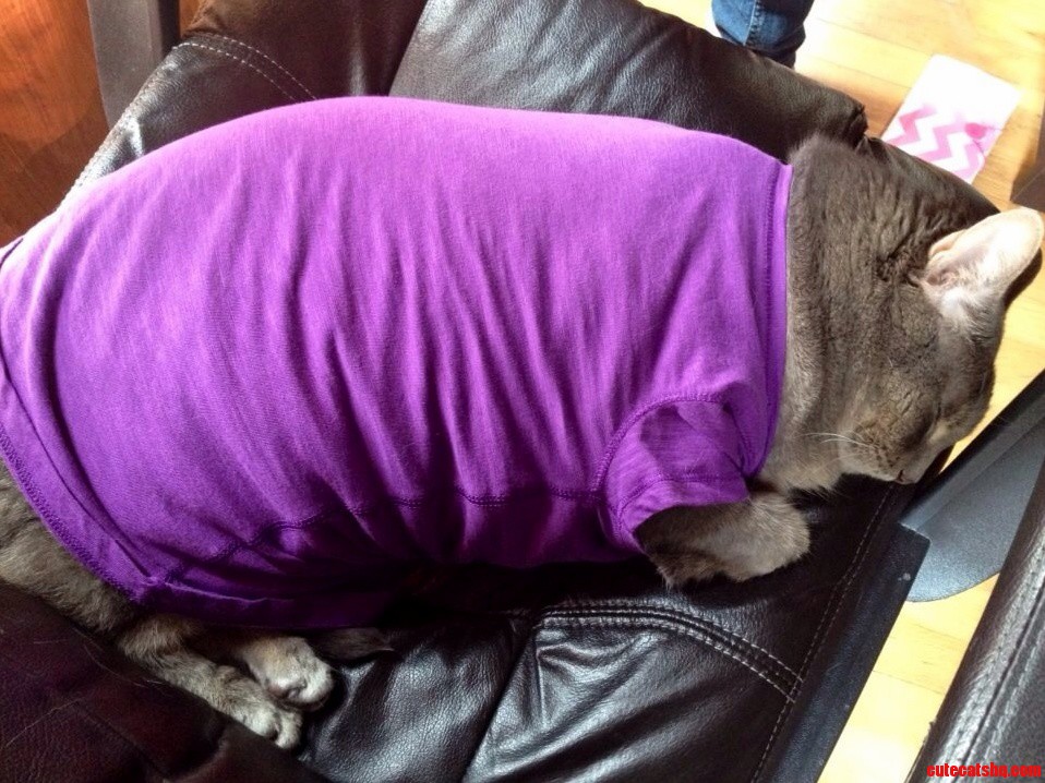 I Ll Start the Diet Tomorrow... Too Tired