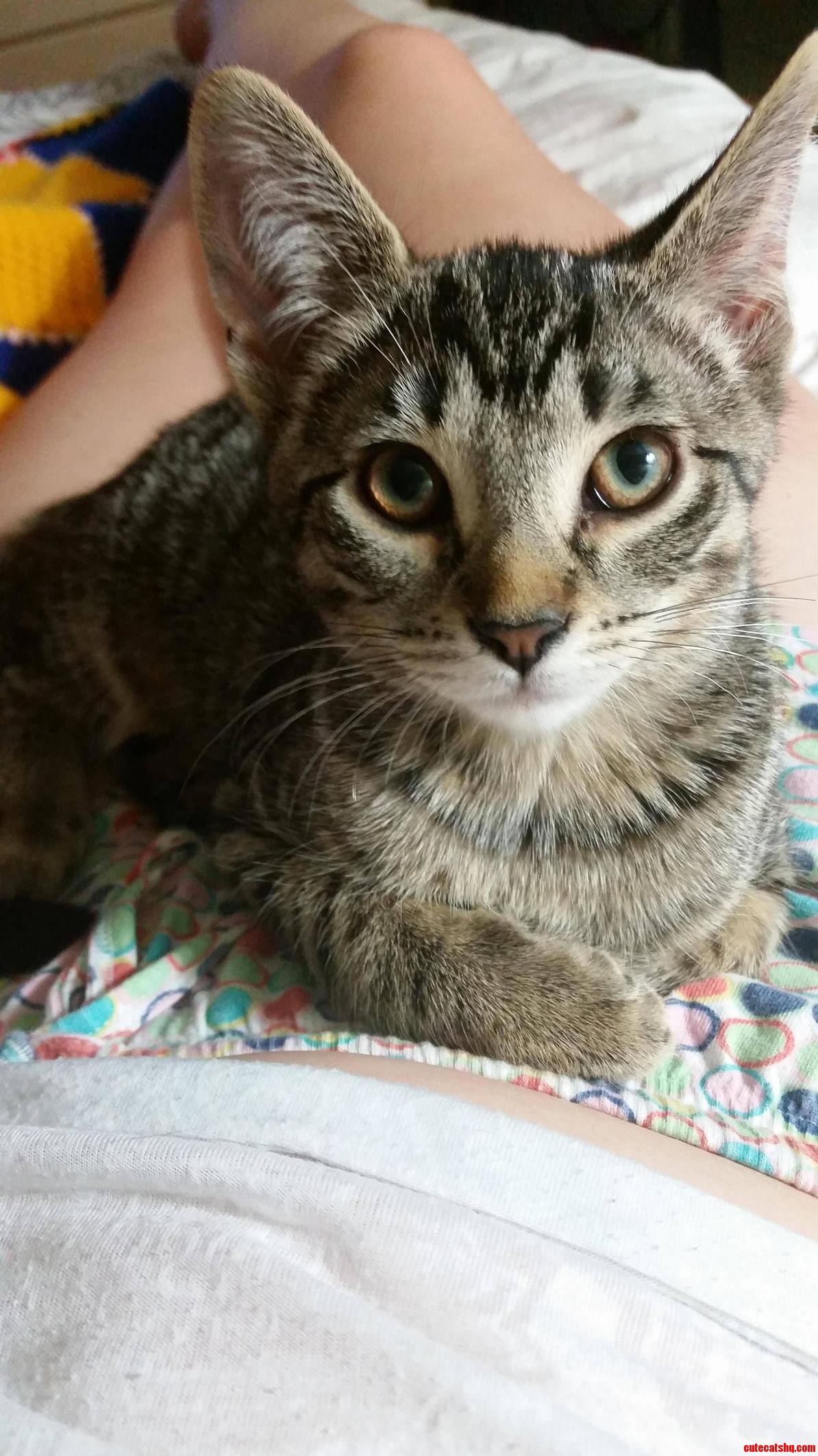 I Love Her Eyes.
