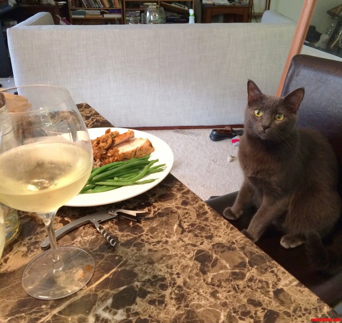 I Made Dinner. He Brought the Wine.