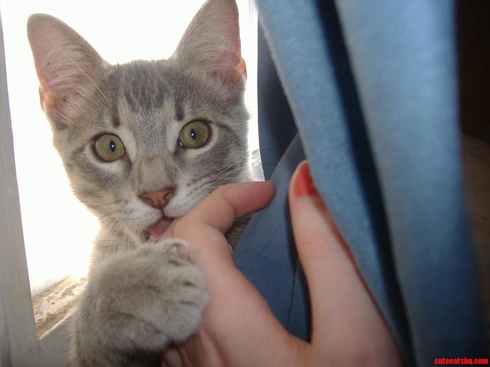 I Miss My Little Guy So Much.