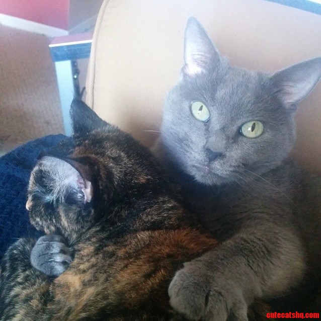 I Obviously Intruded on a Private Moment.