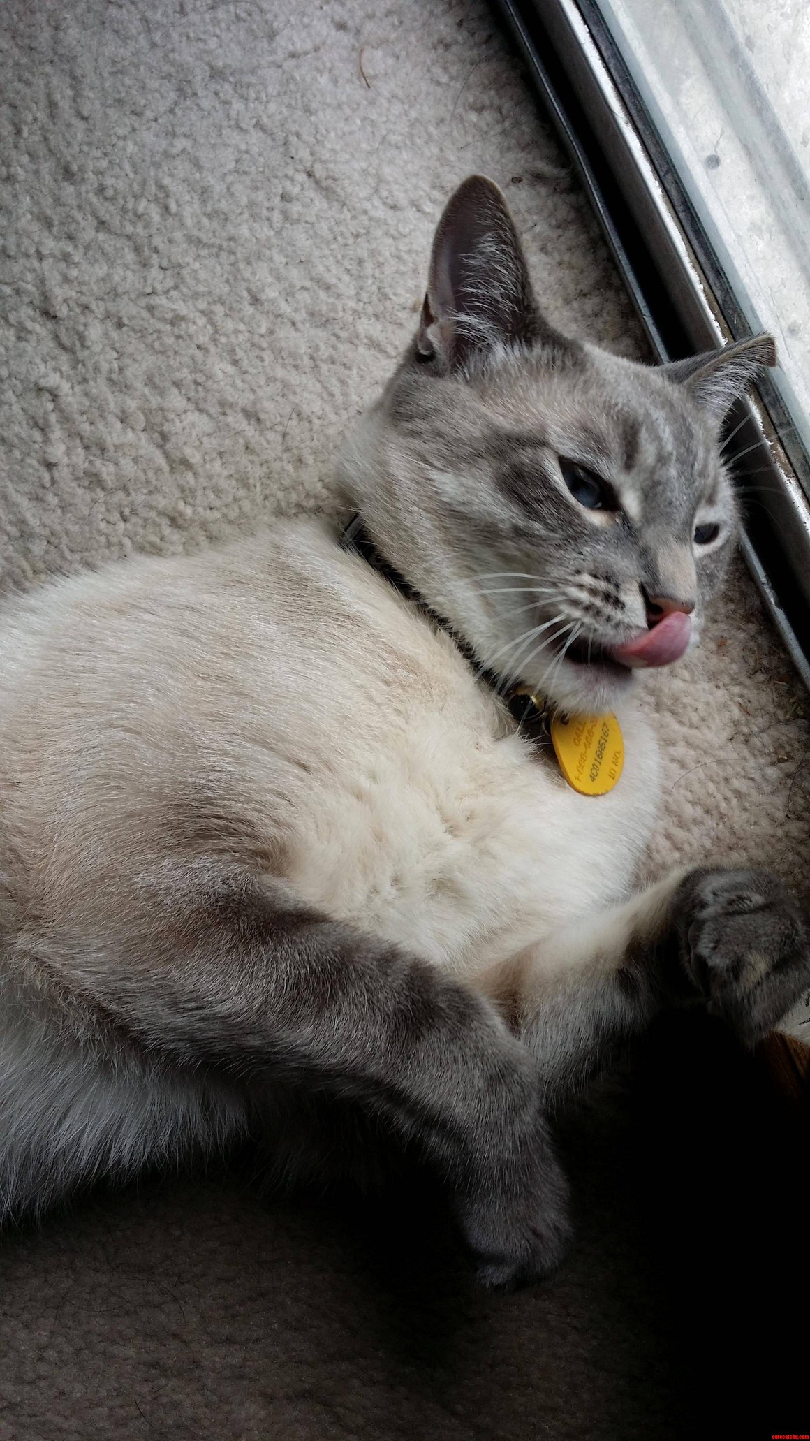 I Think He Just Went Full Derp.