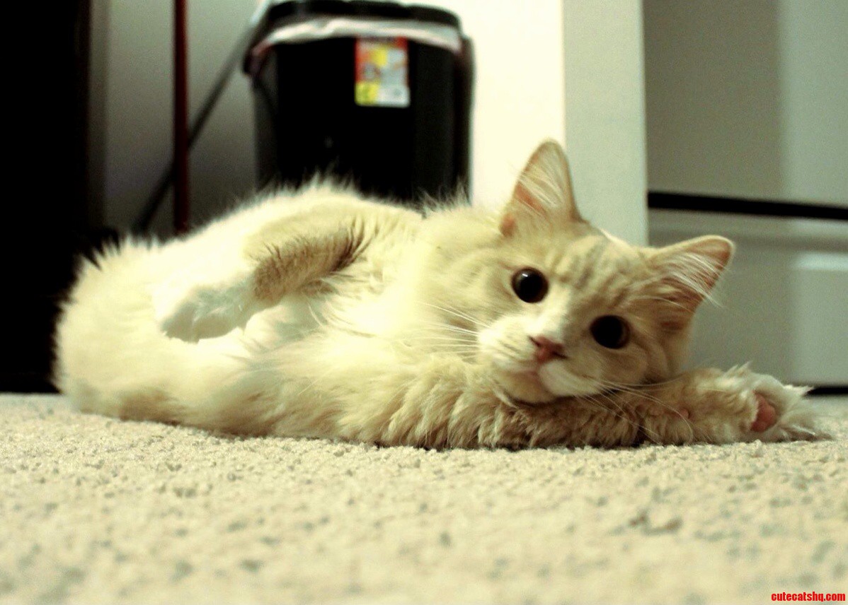 I Think Hes Saying Hi.