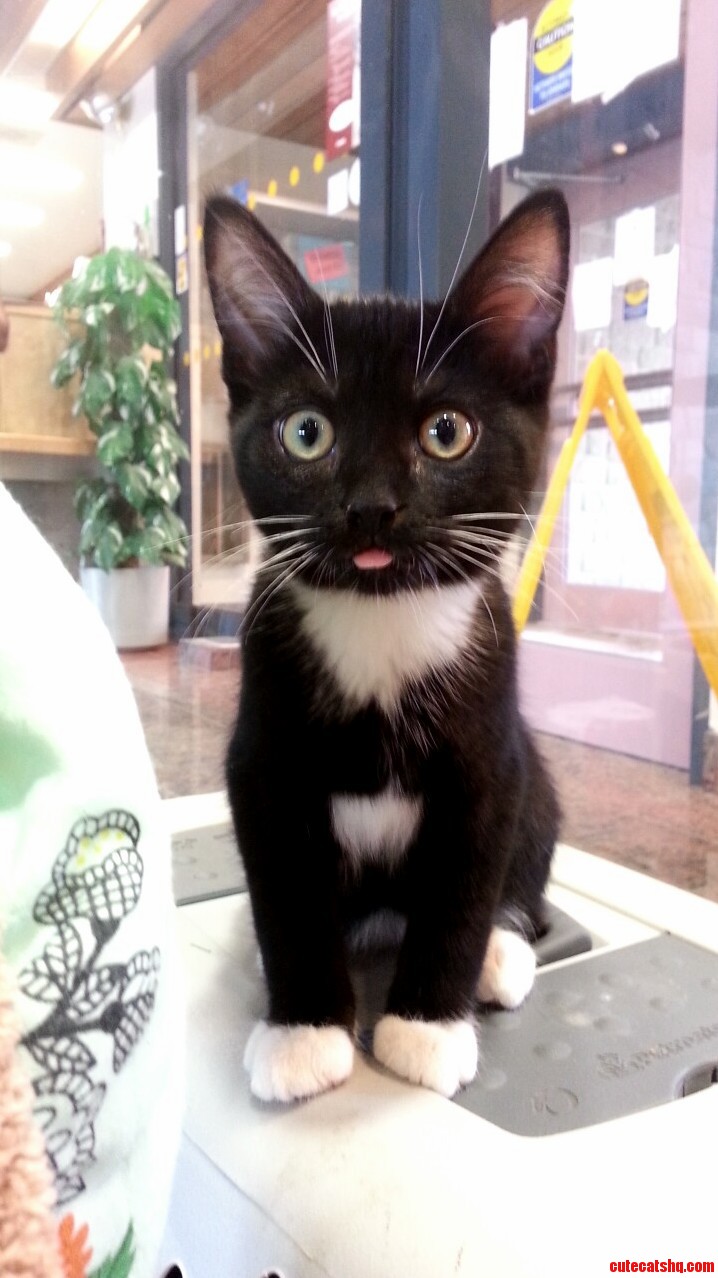 I Think I Caught Boots Off Guard