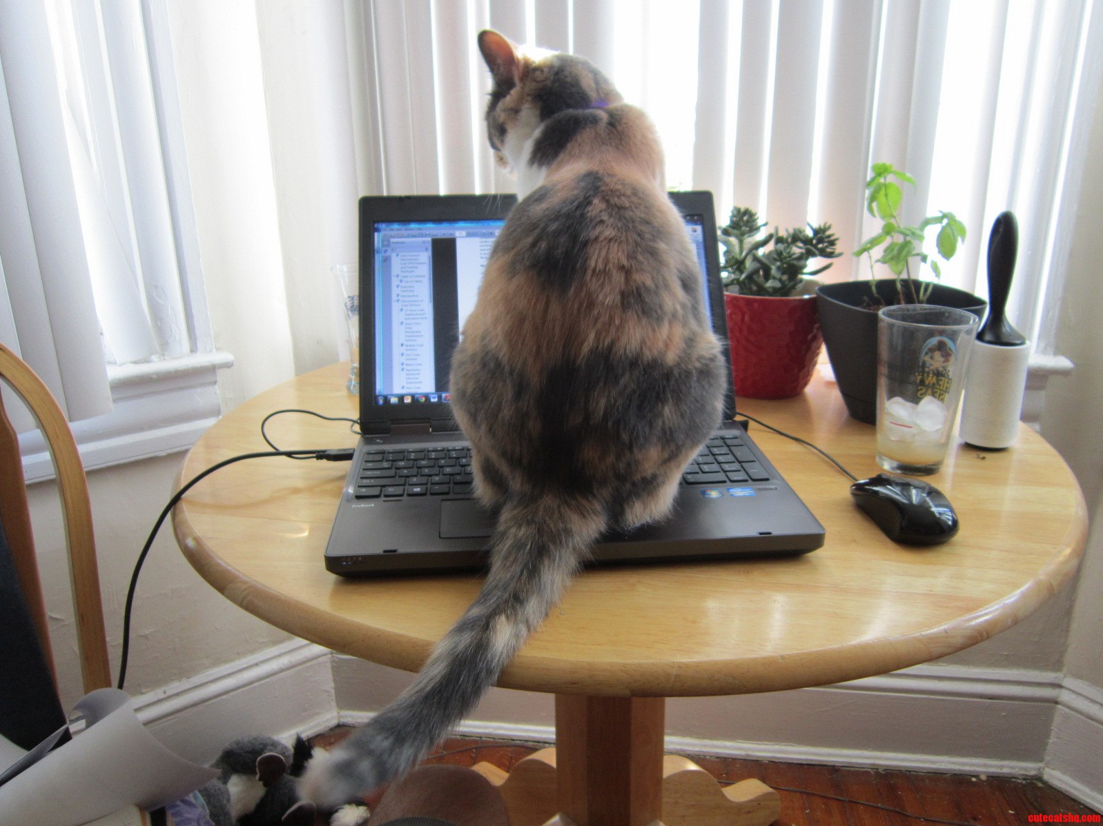 I Thought ID Be More Productive If I Worked from Home Today...