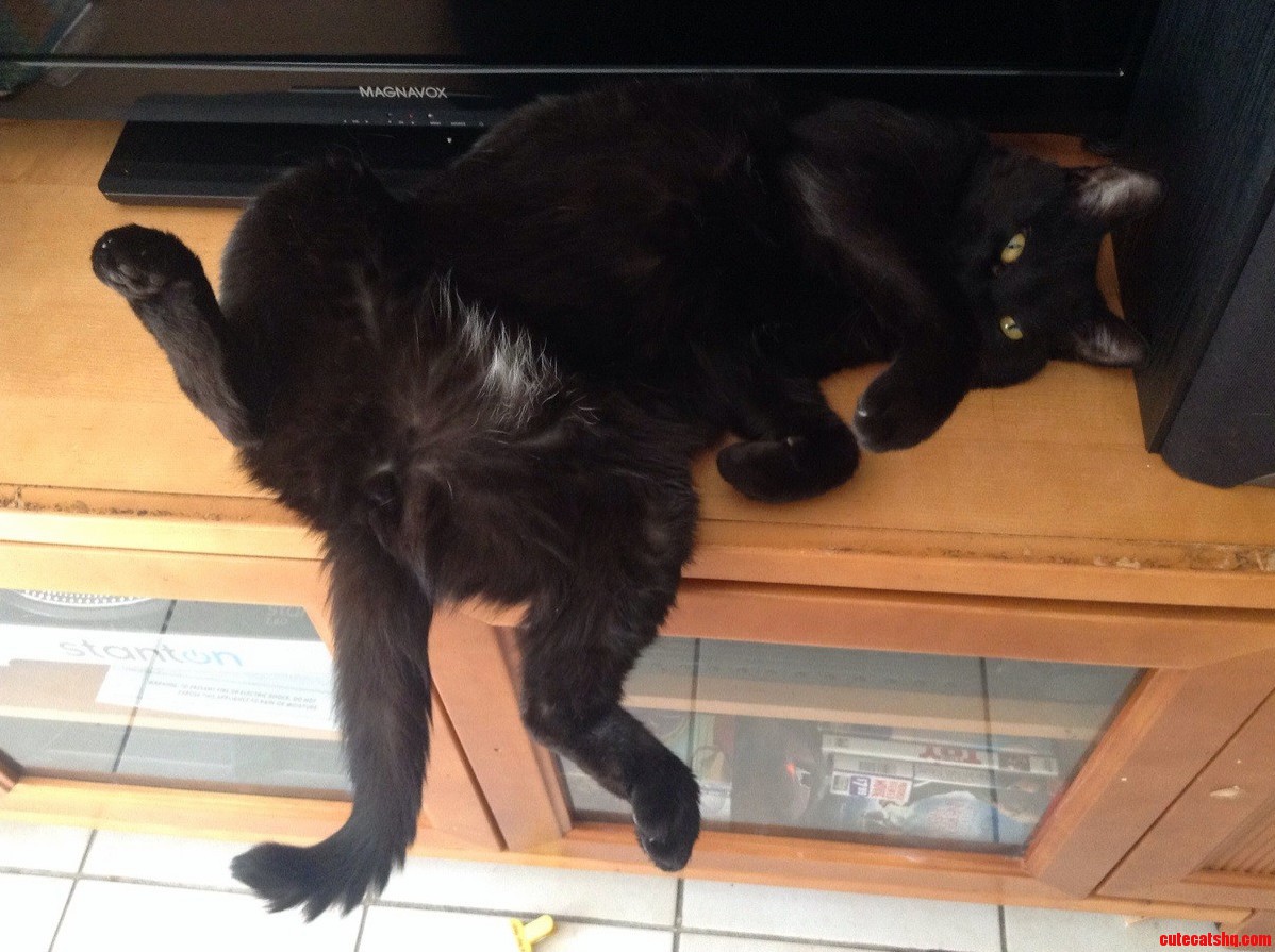 I Thought My Cat Was Sleeping. I Was Caught Red Handed Trying to Snap a Picture.