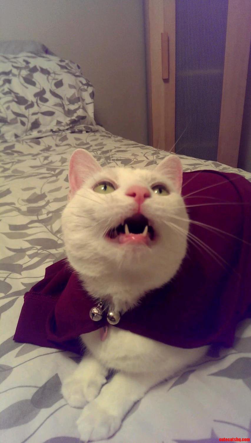 I Vant to Suck Your Blood