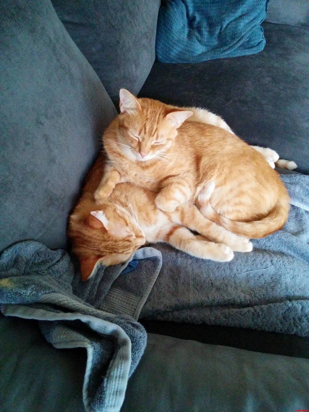 If I Fits I Sits