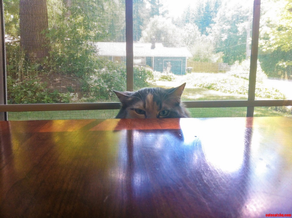 Im Being Watched.