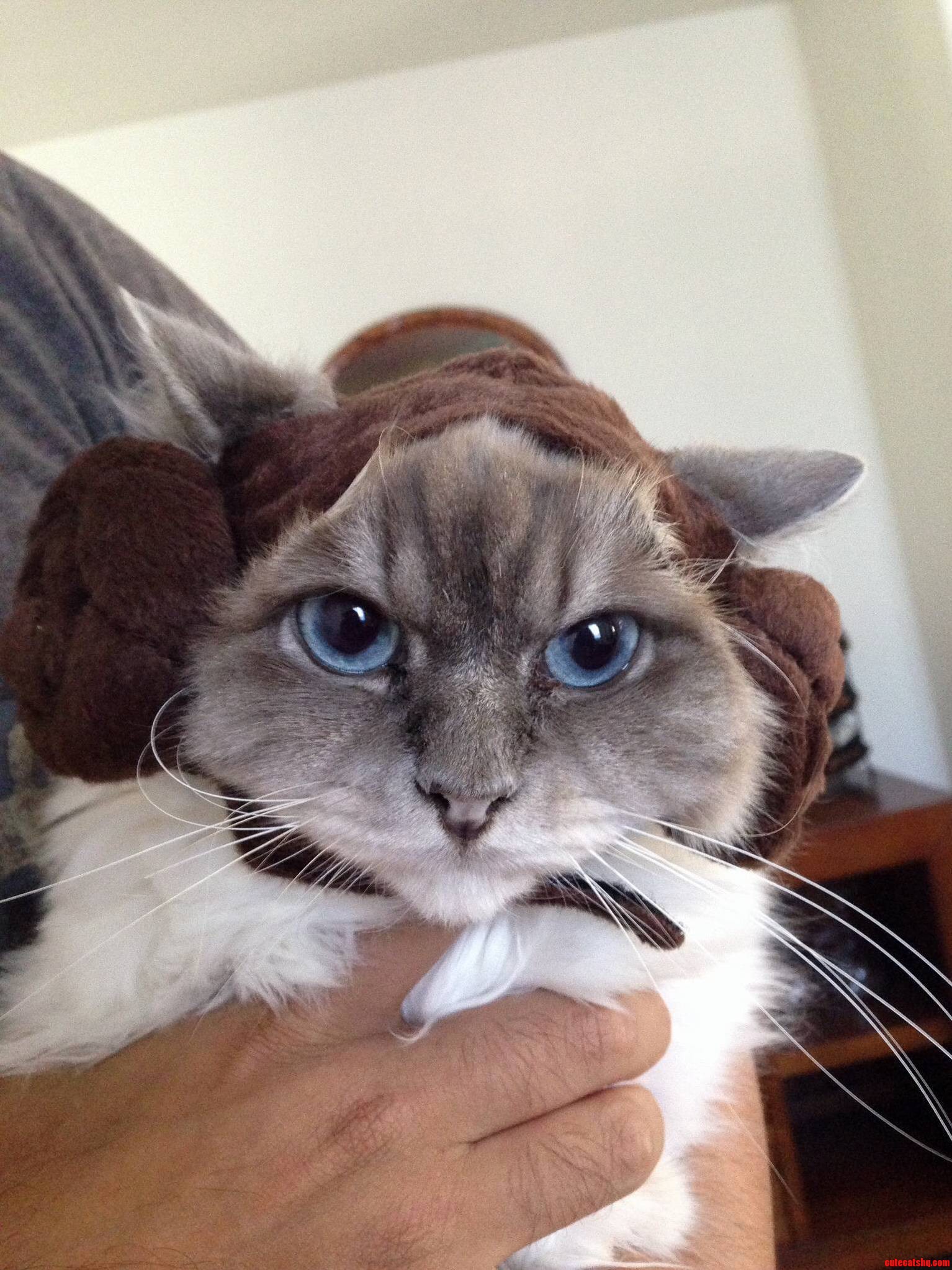 Im Not Impressed. - -