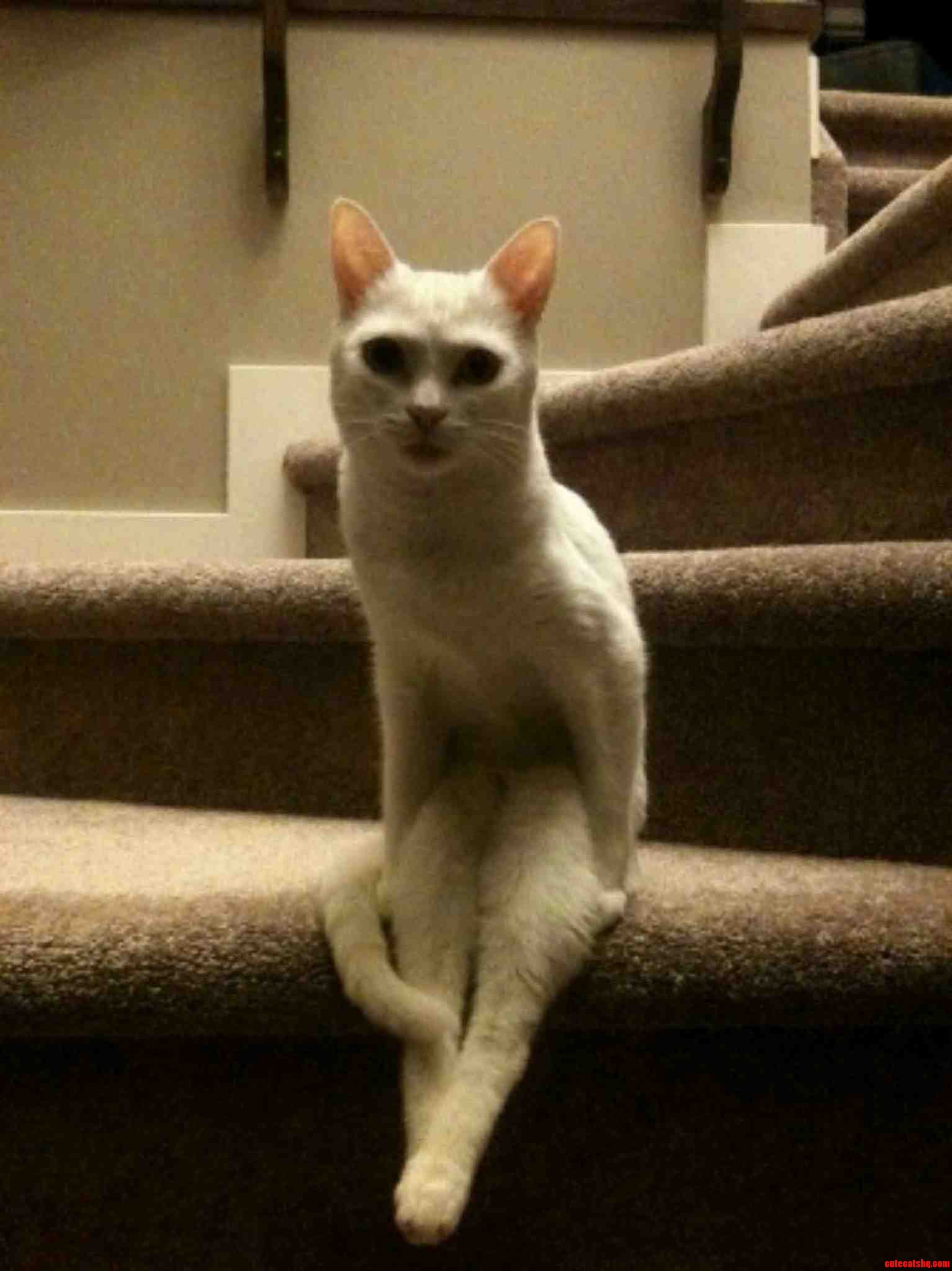 Im Sexy and I Know It...