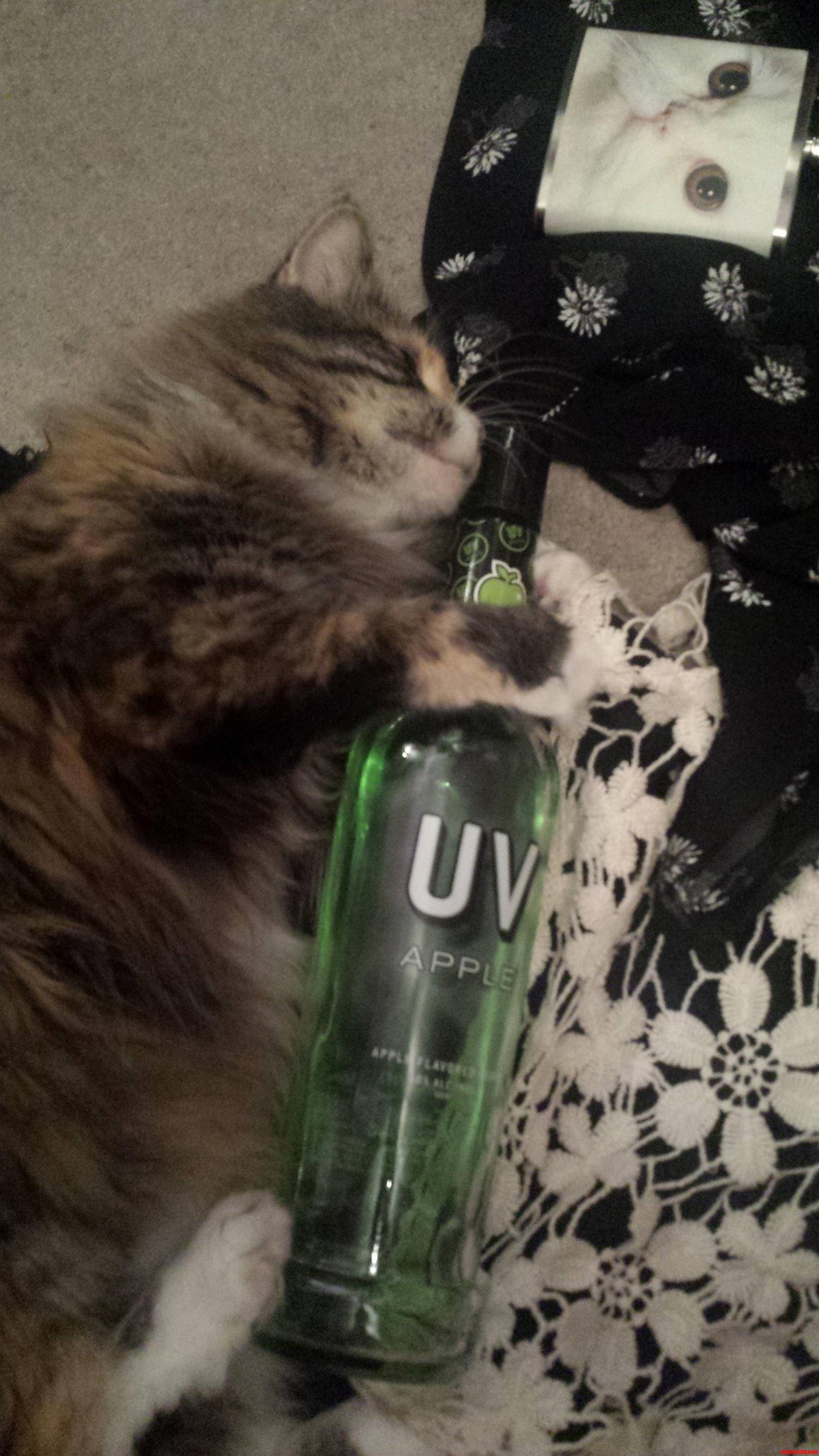 Is It the Weekend Yet