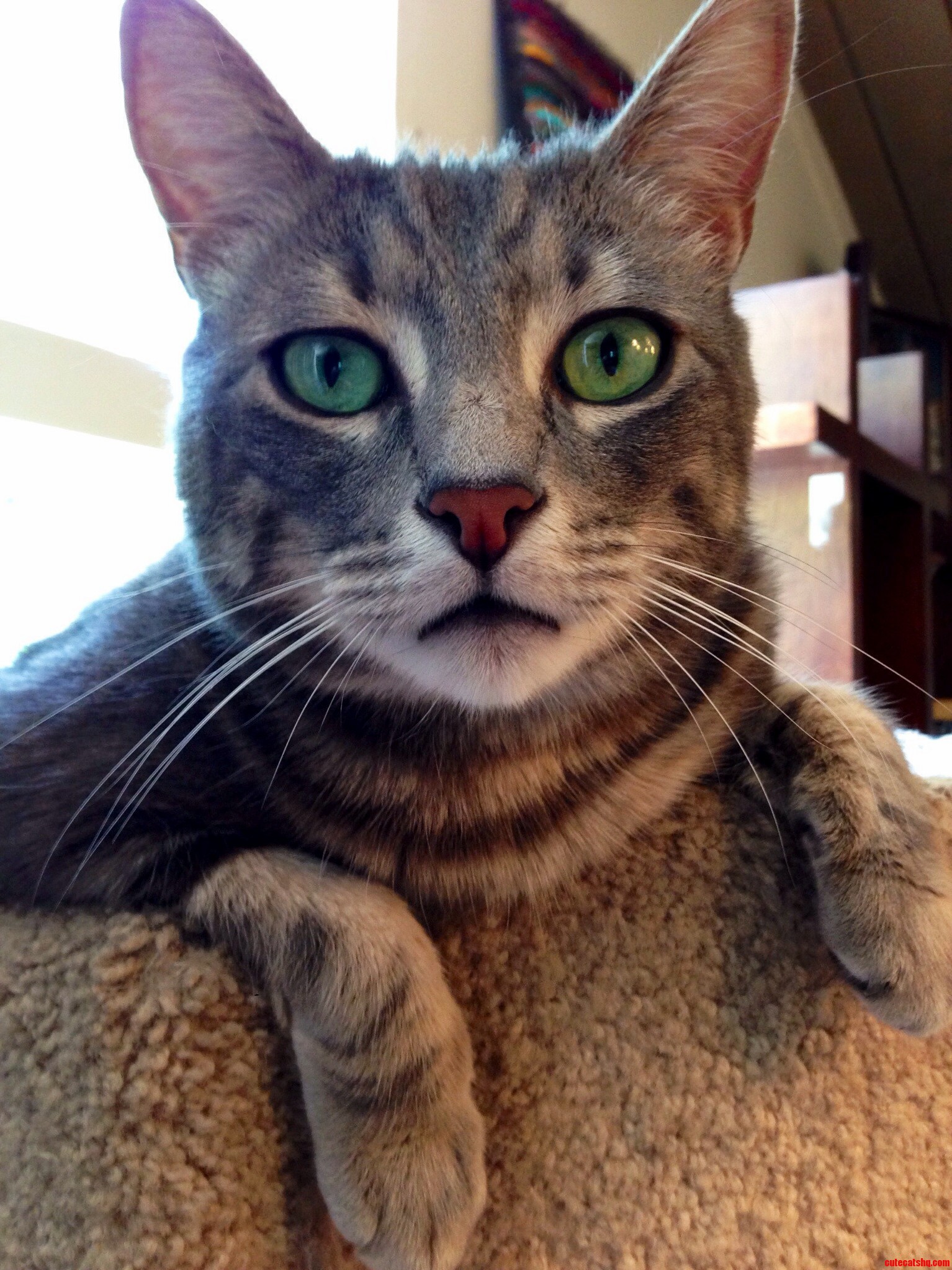 It All in the Eyes...
