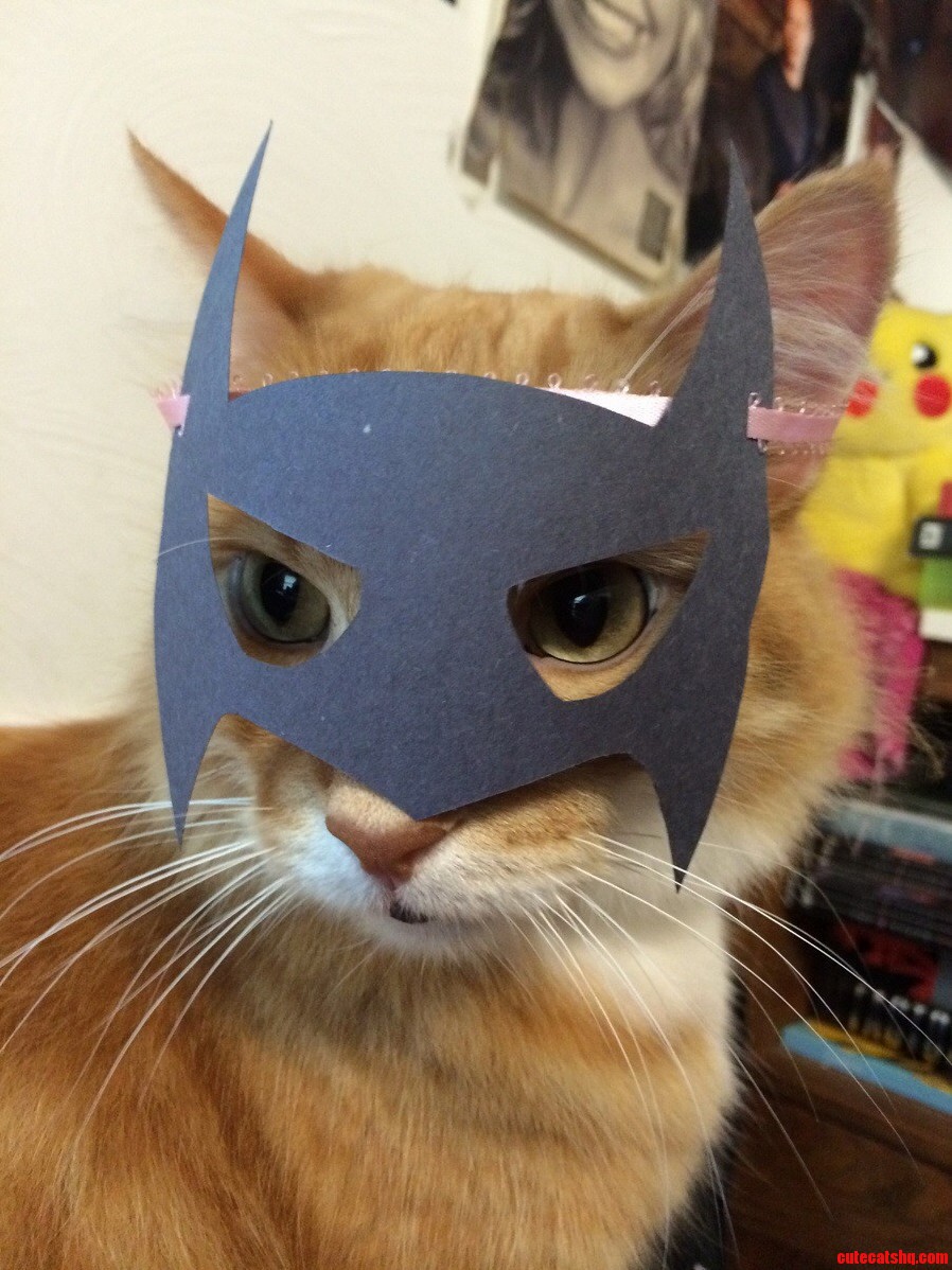 Its Batman Day.