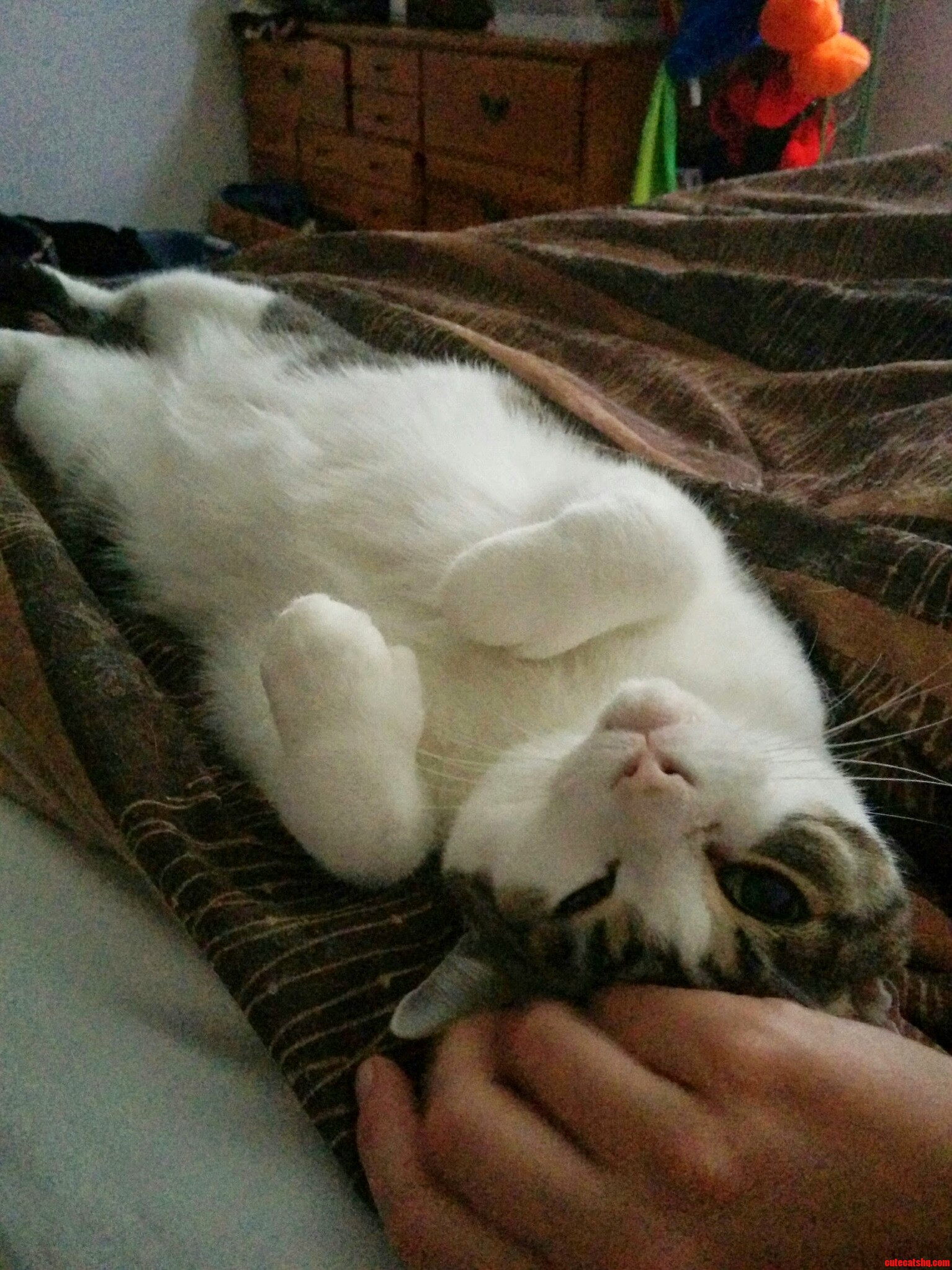 Its Great Waking Up with This Little Guy