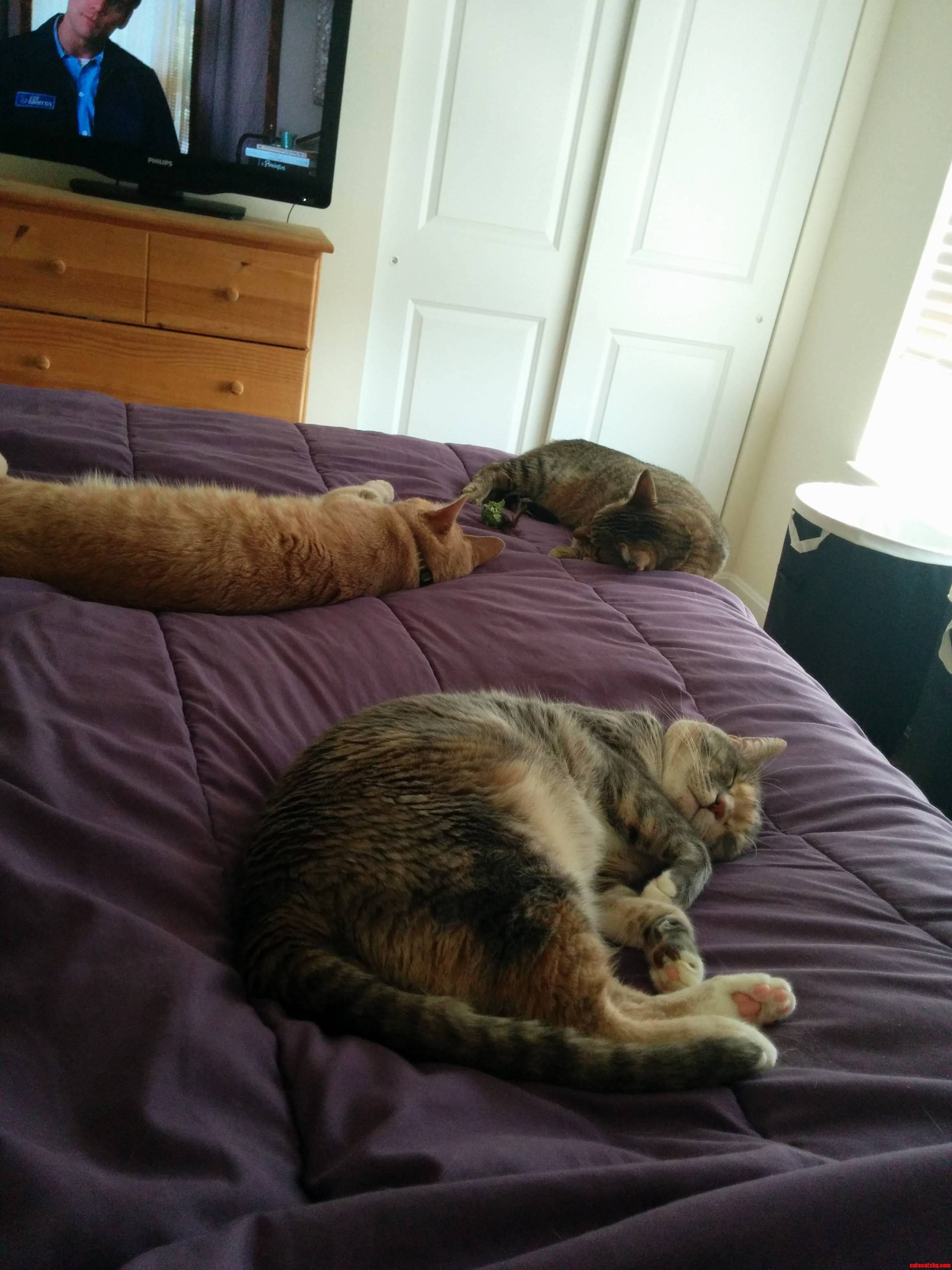 Its Like They Knew I Wasnt Feeling Well Today.