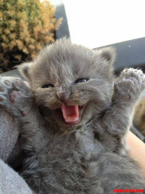 Its Monday and Now Make Me Laugh