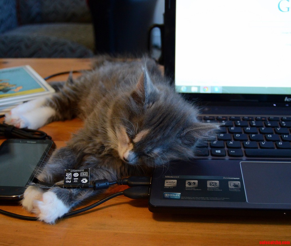 Its Not Hard to Guess Where the Laptop Fan Is