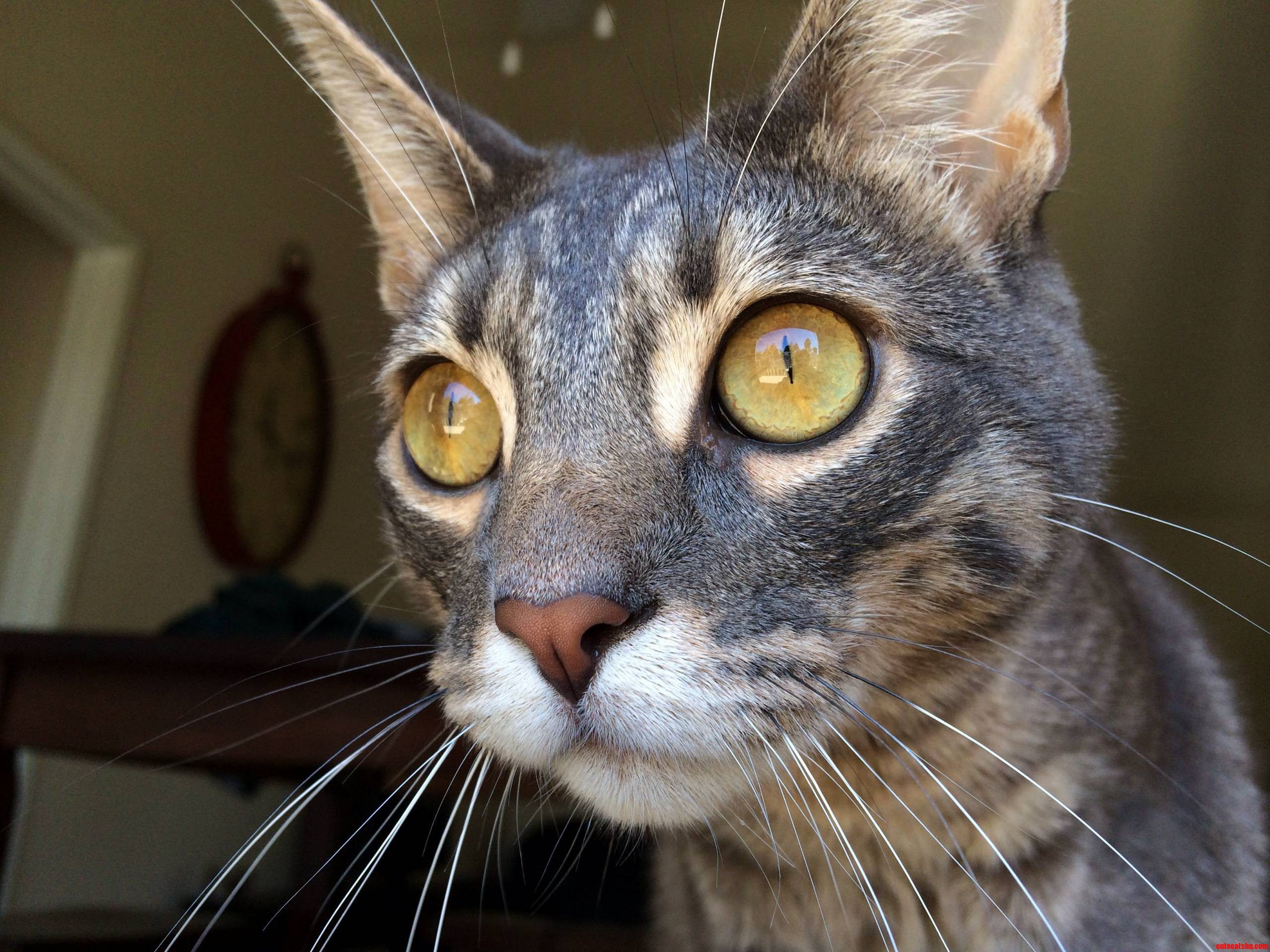 Jeff Loves to Watch Birds with the Screen Door Open.