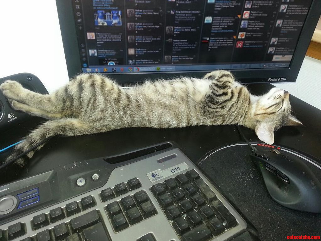 Joker Likes My New Battlestation