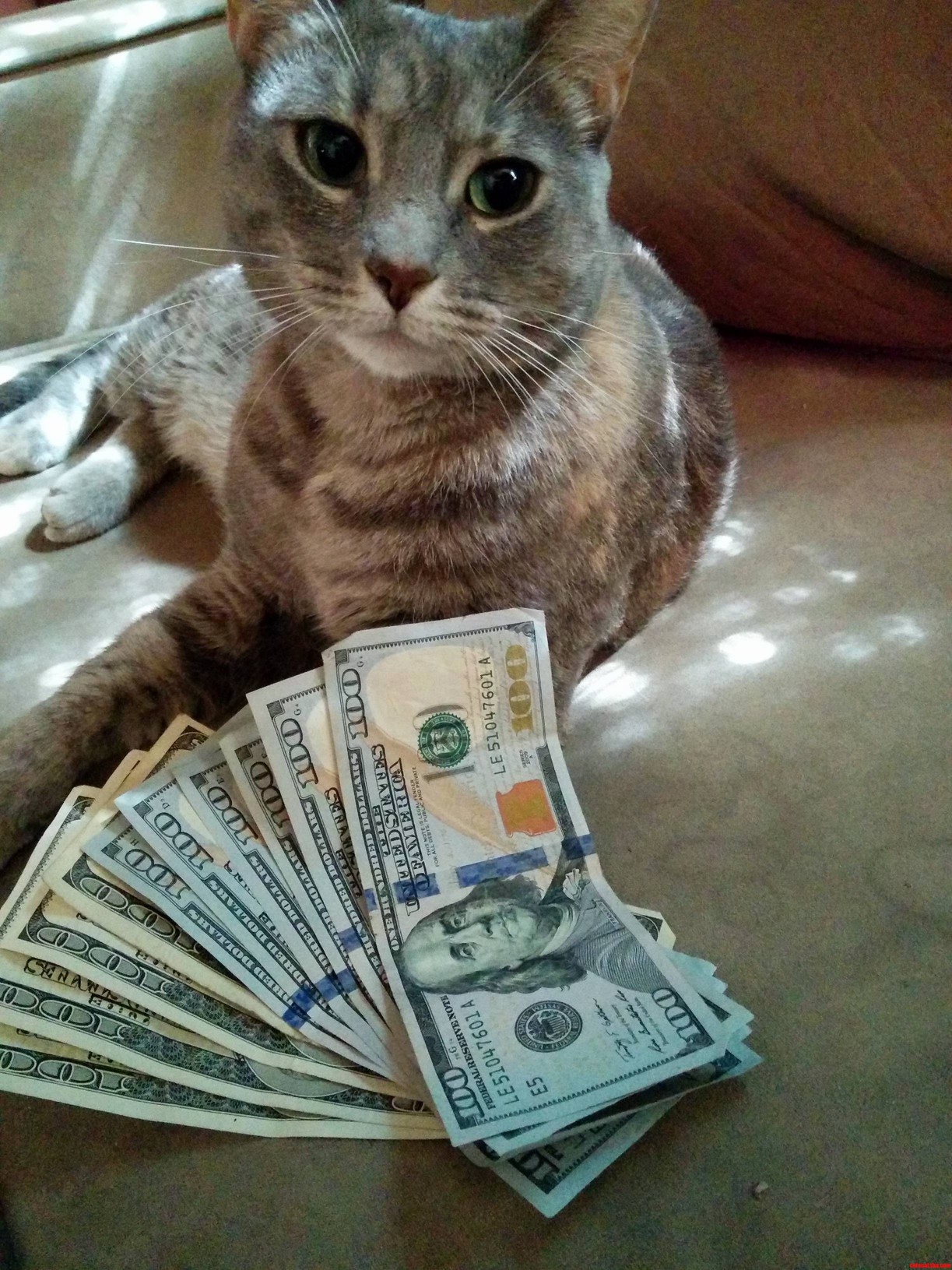 Jones Pays the Bills Around Here.