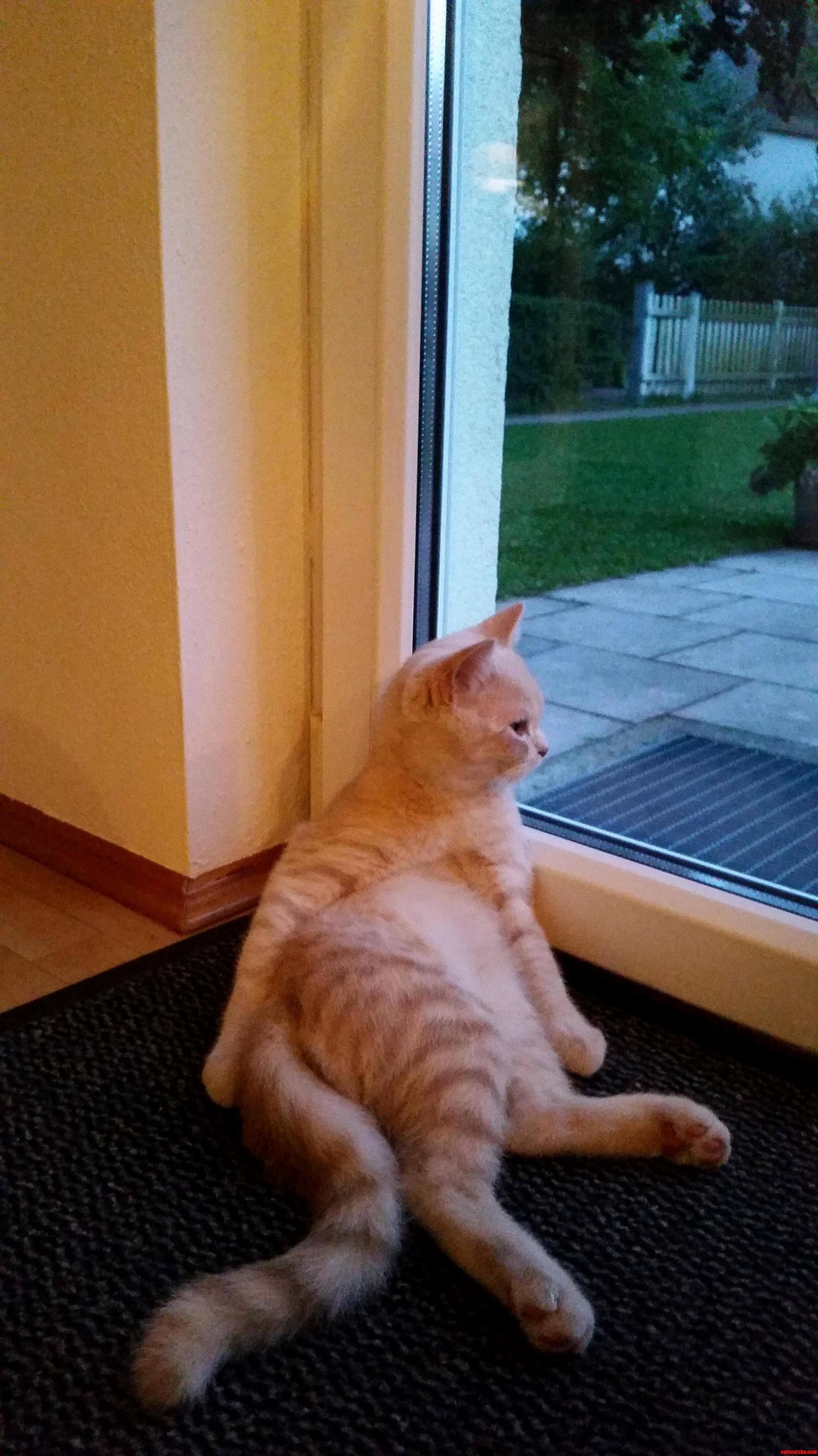 Jus Chillin Out
