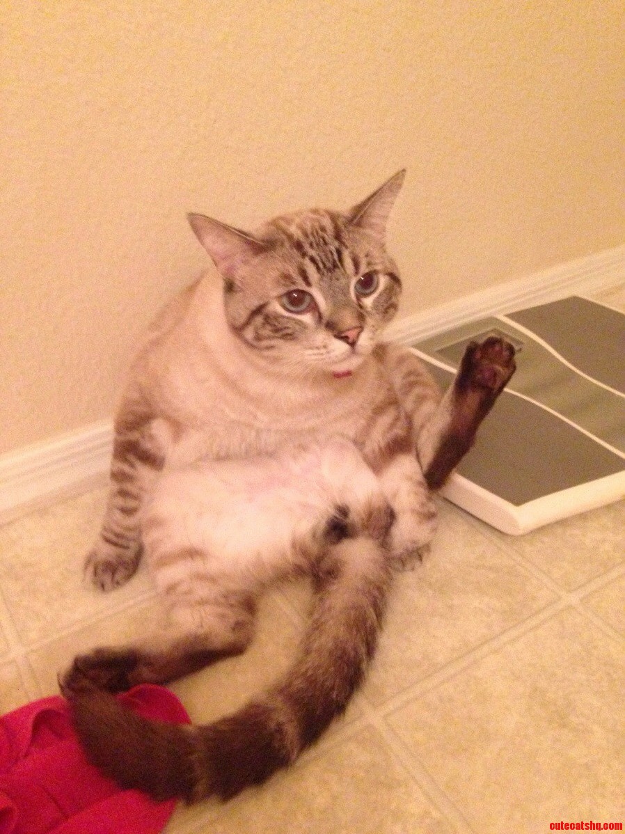 Just a Couple More Sit-ups Before Weighing in
