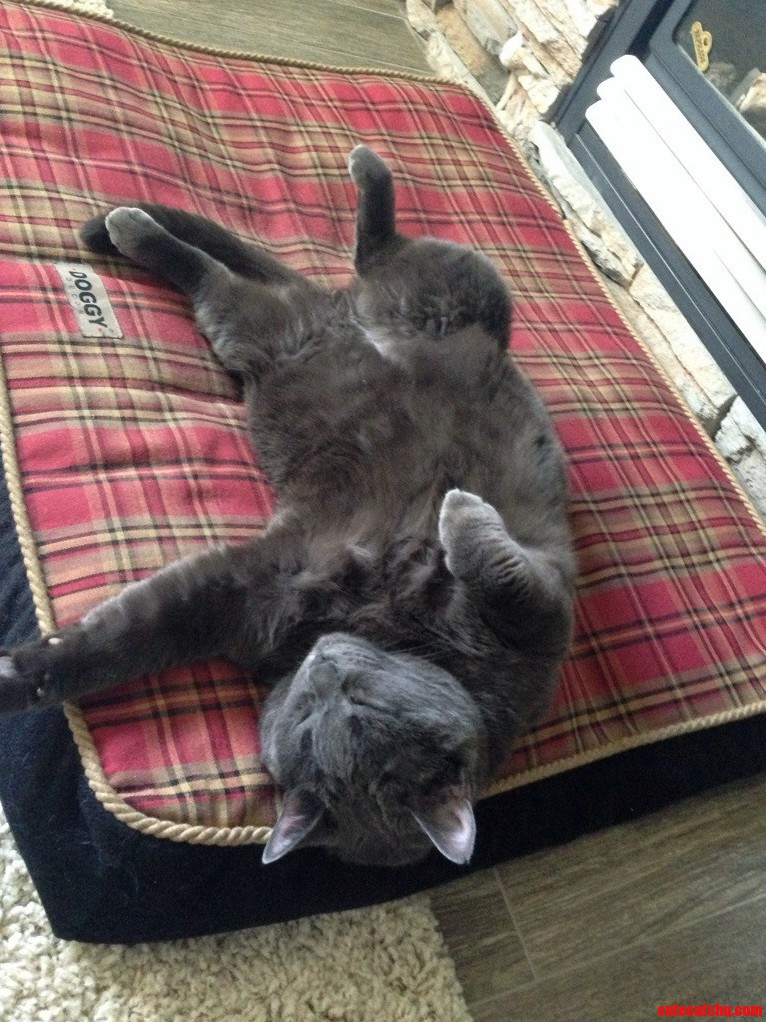 Just Chillin Yo