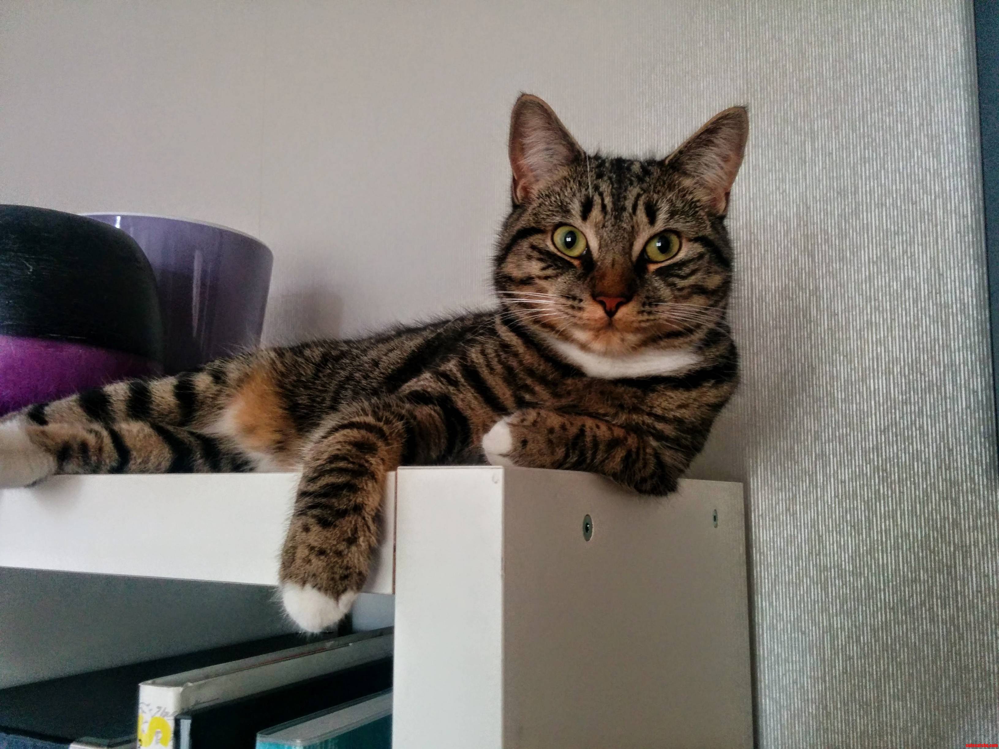 Just Chillin