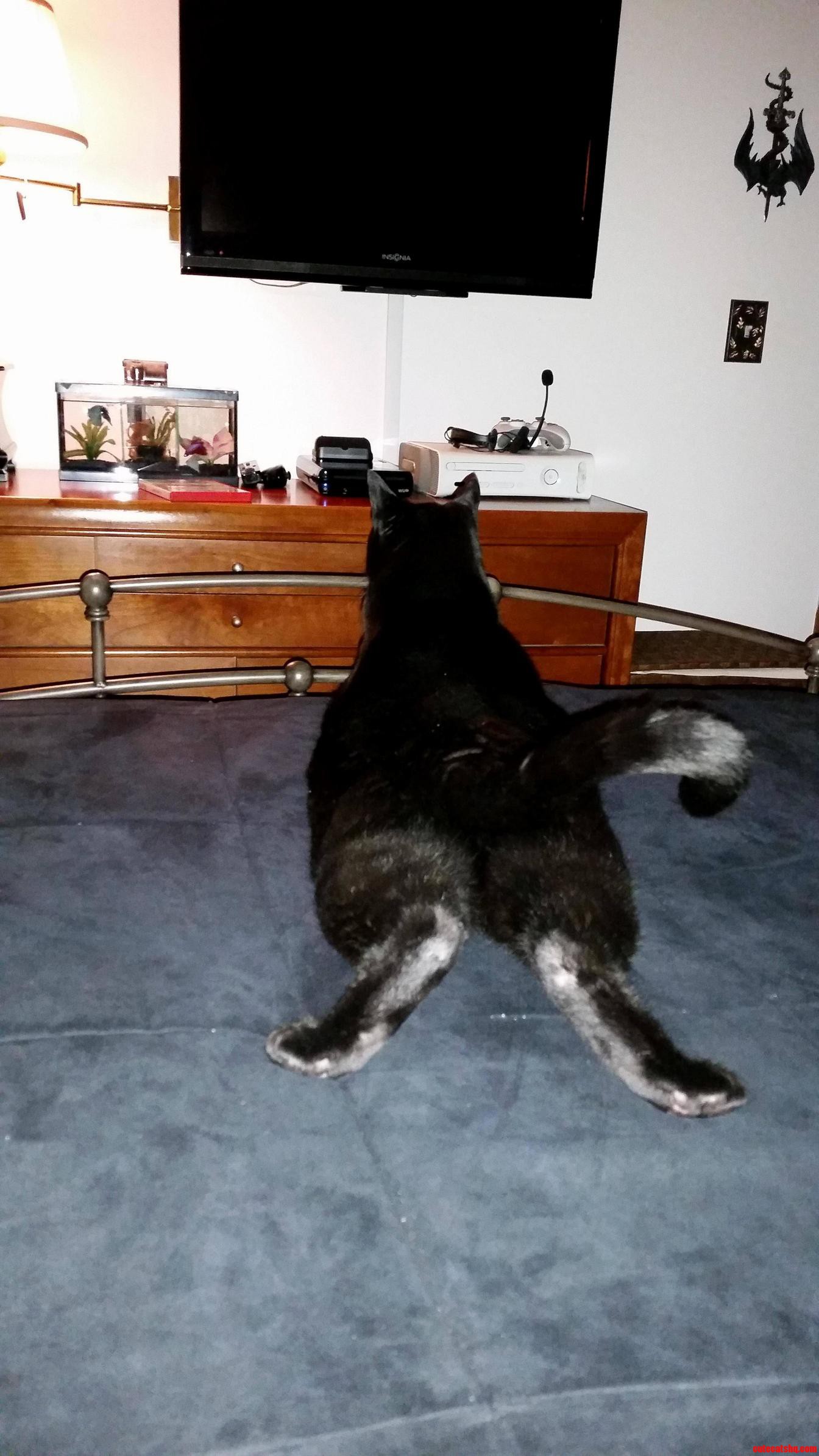 Just Chilling Watching the Fish