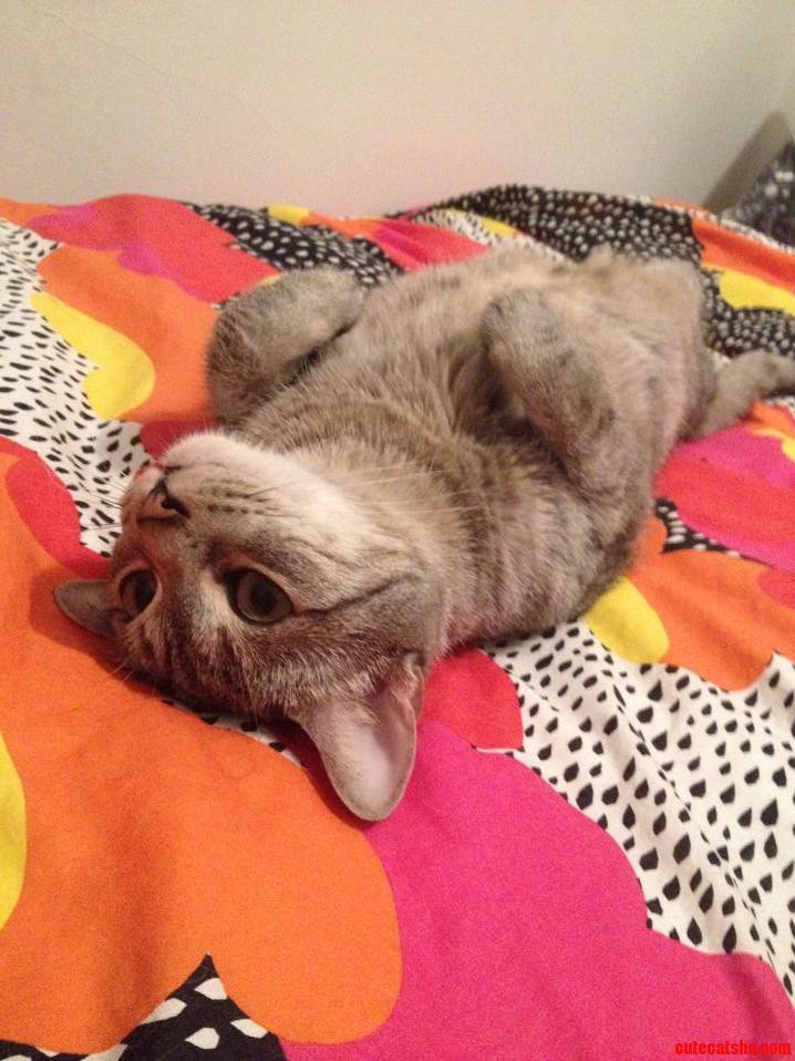 Just Lounging About Under the Ceiling Fan...