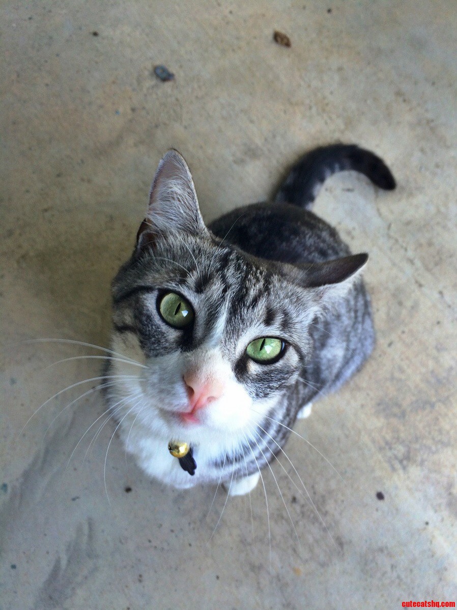 Lady and Her Beautiful Green Eyes