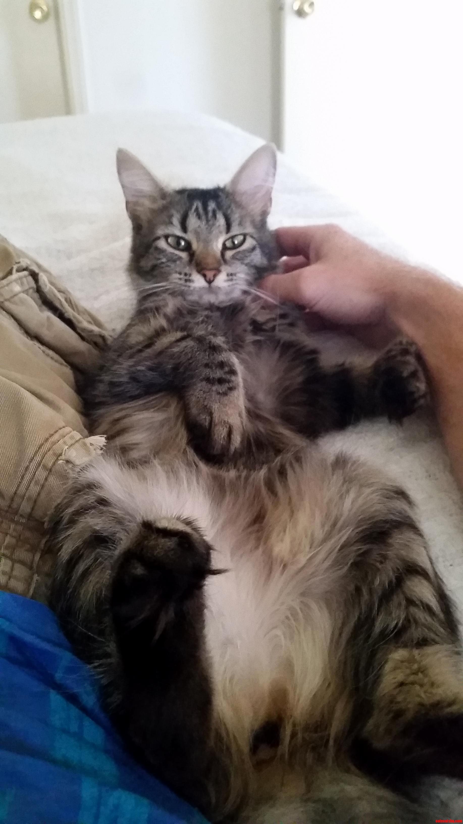 Lazy Sunday with My Little Lady.