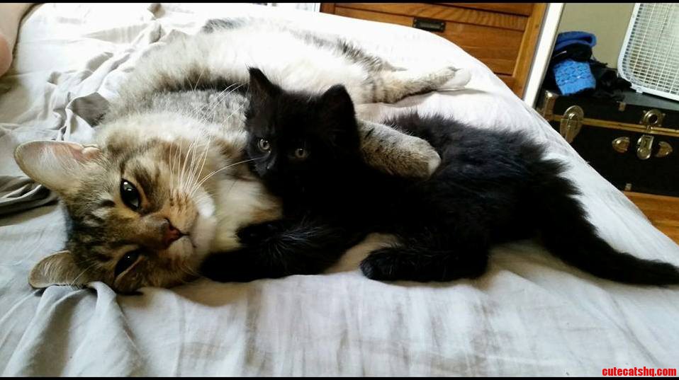 Less Than a Week Together So Far and Theyre Already Making Out.