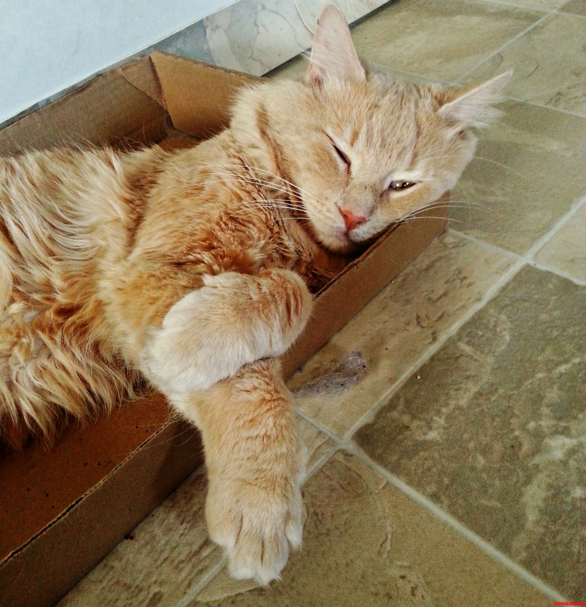 Let Me Sleep Peasant