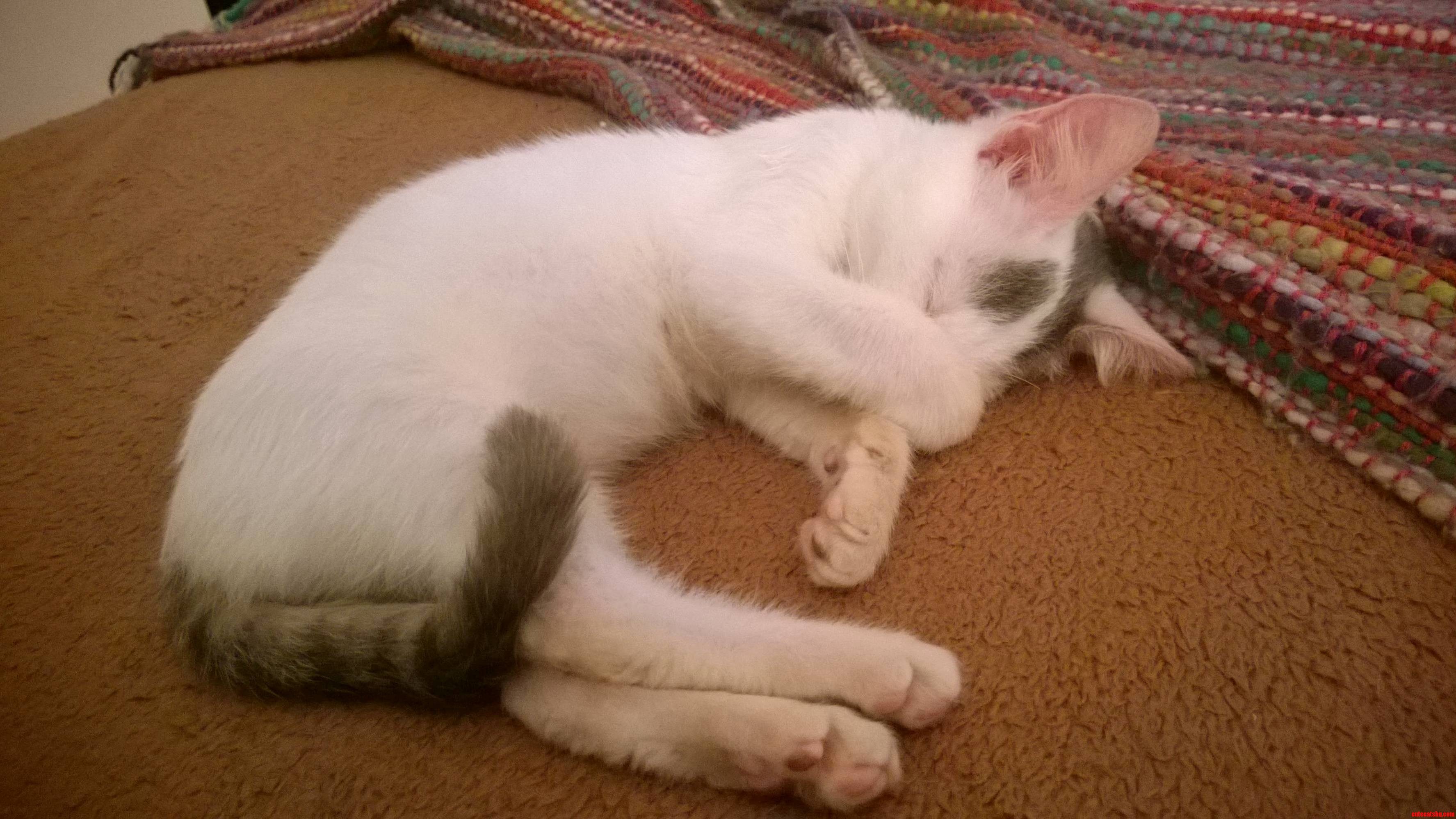 Let Me Sleep