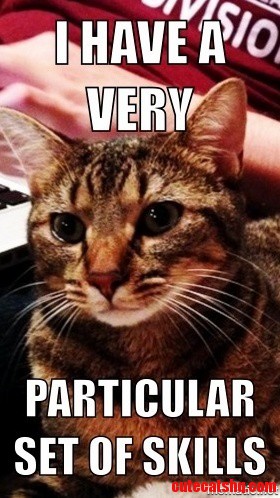Liam Neeson Kitten. I Have a Very Particular Set of Skills