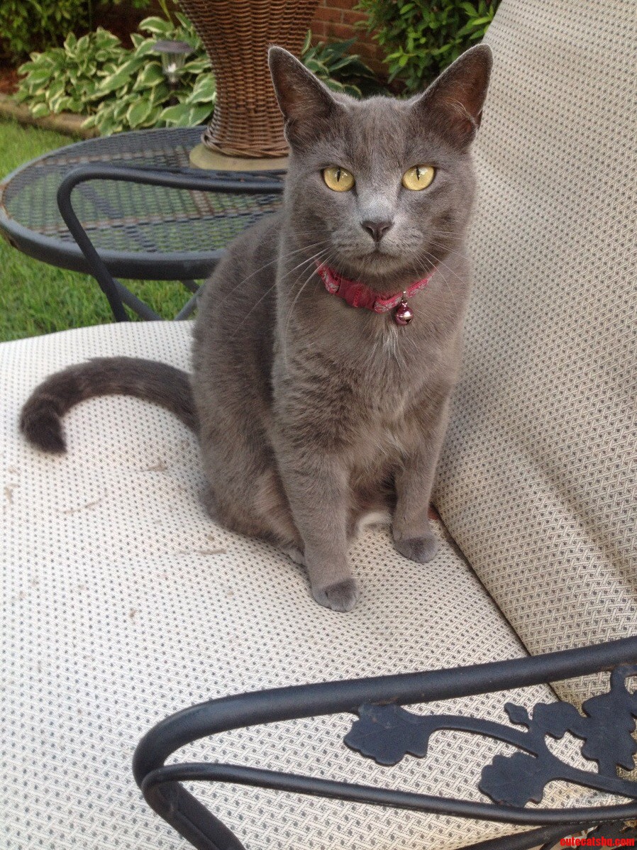 Look at This Beauty.