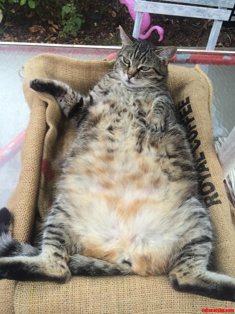 Loungin