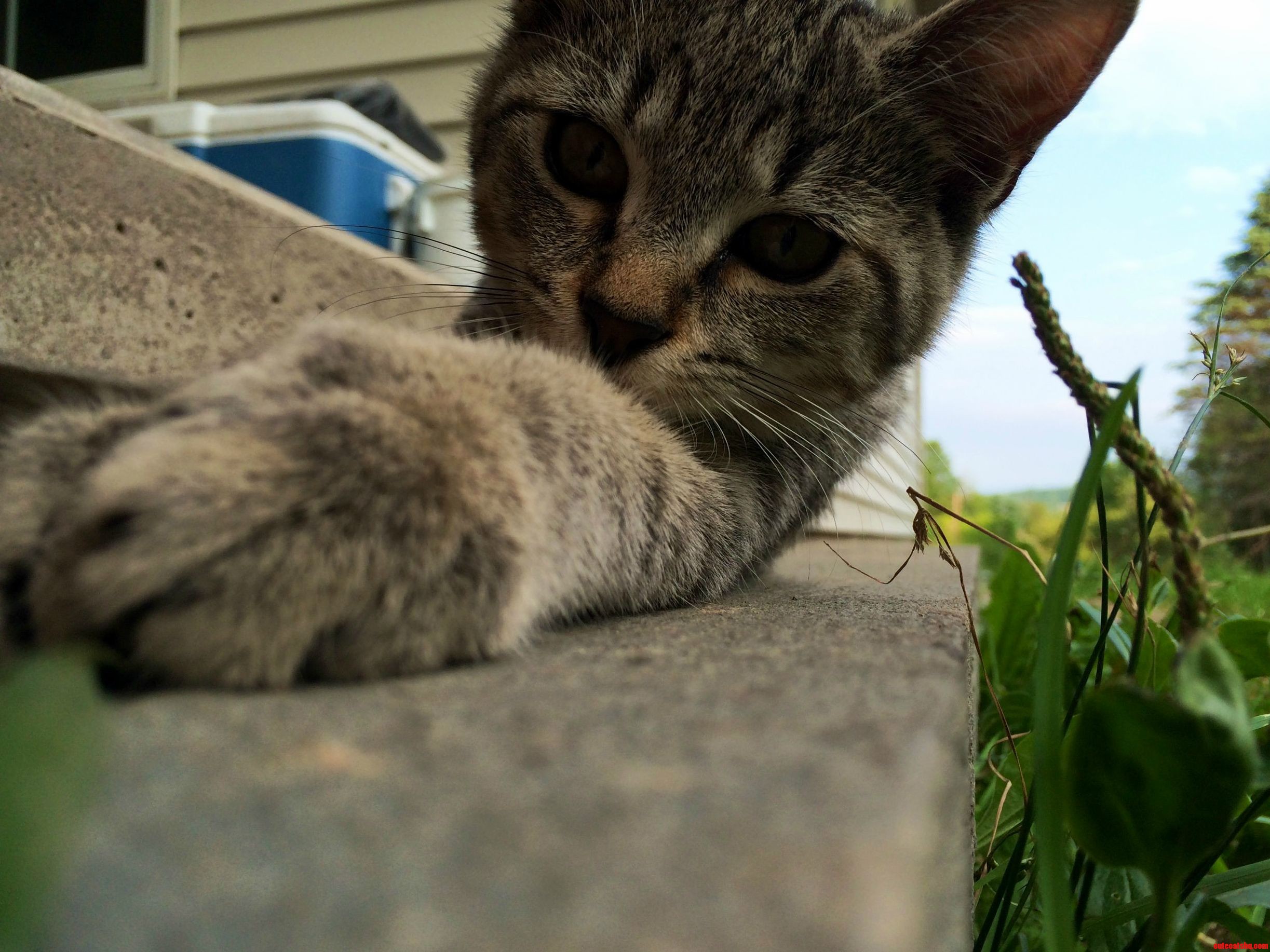 Lounging on a Beautiful Day