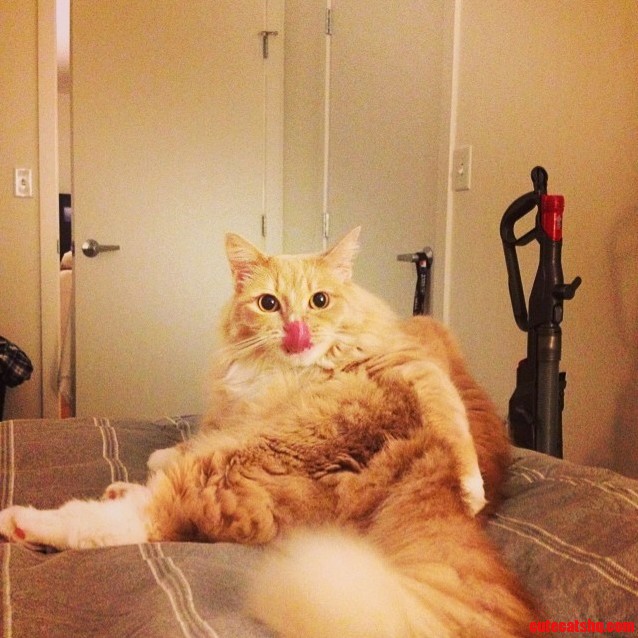 Lua Is Pretty Saucy
