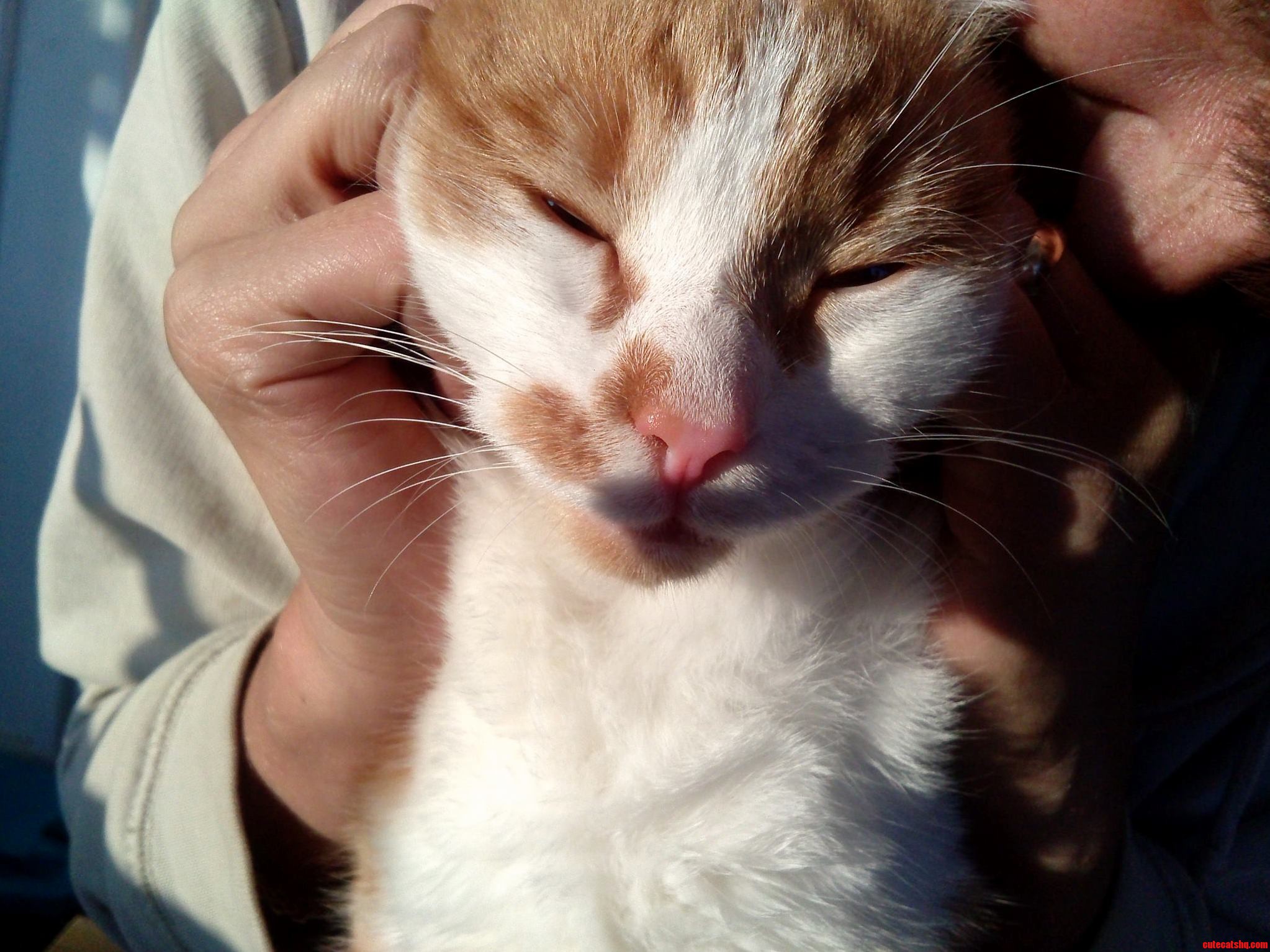 Lucky Close-up.