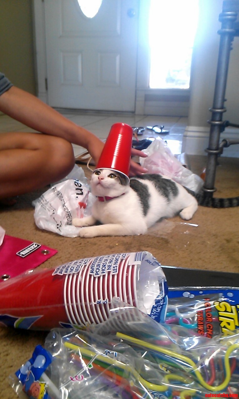 May I Present Her Highness Queen Caterina Michelle Spigglevon Cater